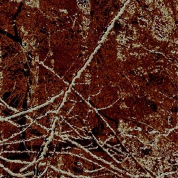 数字艺术 标题为“Winter Forest 13” 由Ken Grzesik, 原创艺术品