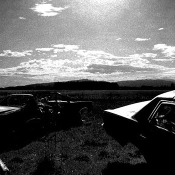 Photography titled "not grazing, just g…" by Andre Van Der Kerkhoff, Original Artwork