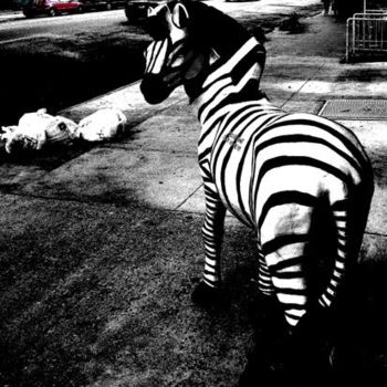 Photography titled "waiting for attenbo…" by Andre Van Der Kerkhoff, Original Artwork