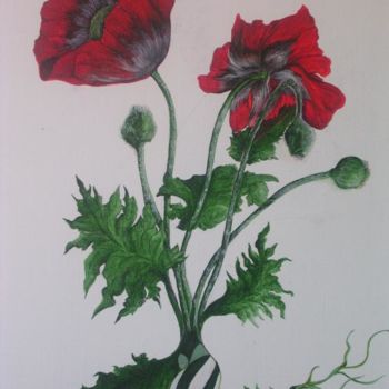 Peinture intitulée "coquelicots entrela…" par Ghyslaine De Sevlian, Œuvre d'art originale, Huile