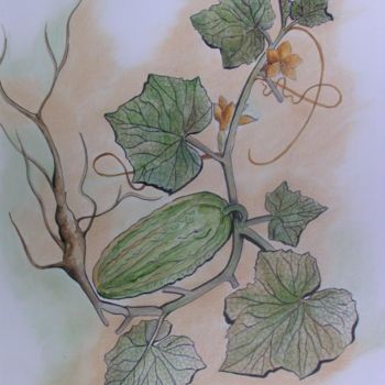Peinture intitulée "CONCOMBRE" par Ghyslaine De Sevlian, Œuvre d'art originale, Huile
