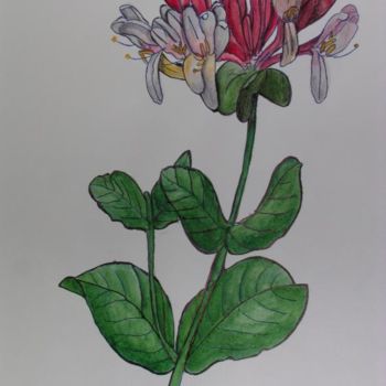 Peinture intitulée "Chèvrefeuille" par Ghyslaine De Sevlian, Œuvre d'art originale, Huile