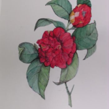 Peinture intitulée "Camélia double" par Ghyslaine De Sevlian, Œuvre d'art originale, Huile