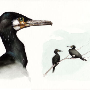 Peinture intitulée "Grand Cormoran" par Florence Dellerie, Œuvre d'art originale, Huile