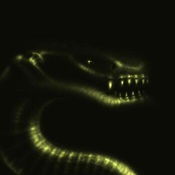 Digital Arts titled "serpent" by Anthony R A Barron, Original Artwork