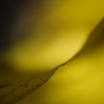 Photographie intitulée "Tonalité" par Chantal Gagné, Œuvre d'art originale