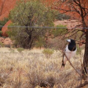 Fotografie mit dem Titel "uluru" von Ilgvars Zalans, Original-Kunstwerk