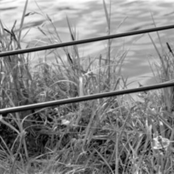 Photographie intitulée "lignes" par Marc Steiner, Œuvre d'art originale