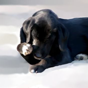 Malerei mit dem Titel "black lab" von Karen Sheltrown, Original-Kunstwerk