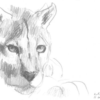 Drawing titled "sussuarana" by Aldo Luiz De Paula Fonseca, Original Artwork