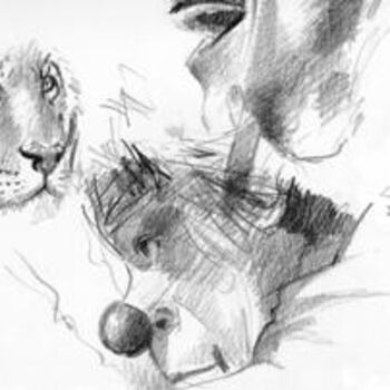 Drawing titled "opalha__oeotigre.jpg" by Aldo Luiz De Paula Fonseca, Original Artwork