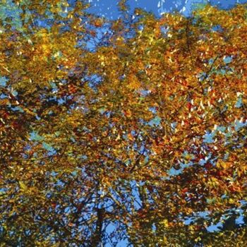 Digital Arts titled "Autumnly #15" by Ken Grzesik, Original Artwork, Digital Painting