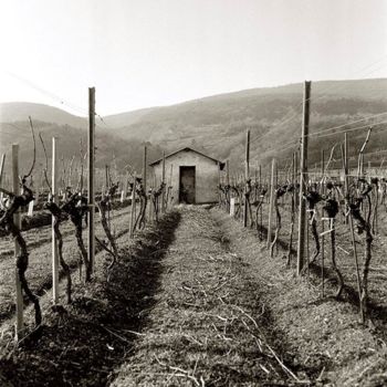 Fotografie mit dem Titel "Vineyard Shed I" von Christian Sodomka, Original-Kunstwerk