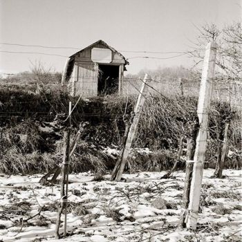Fotografie mit dem Titel "Vineyard Shed IX" von Christian Sodomka, Original-Kunstwerk