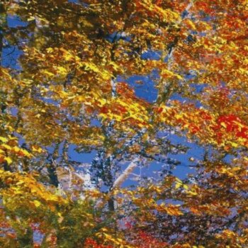 「Autumnly #43」というタイトルのデジタルアーツ Ken Grzesikによって, オリジナルのアートワーク, デジタル絵画