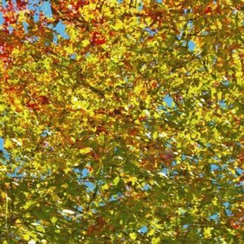 제목이 "Autumnly #51"인 디지털 아트 Ken Grzesik로, 원작, 디지털 페인팅