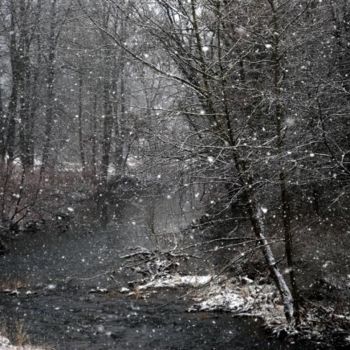 Photography titled "Snow Fall" by Angelo Di Pietrantonio, Original Artwork