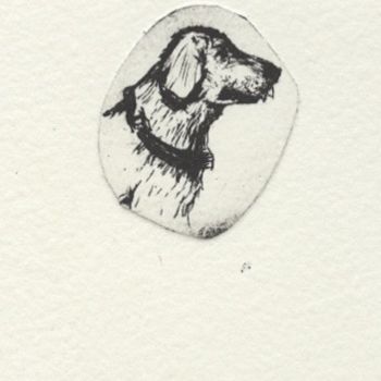 Dessin intitulée "Rex." par Frhégo, Œuvre d'art originale, Autre