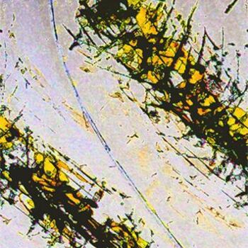 Arts numériques intitulée "Axynthiomes pour 4…" par Morganv6, Œuvre d'art originale