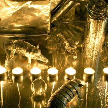 Artes digitais intitulada "221 Armadillo - Das…" por Norbert Fleischer, Obras de arte originais