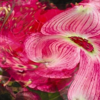 Digital Arts titled "Rhythms of Spring #…" by Ken Grzesik, Original Artwork, Digital Painting