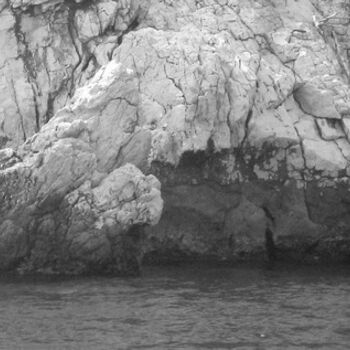 Fotografia intitolato "LE DRAGON" da Flora I., Opera d'arte originale