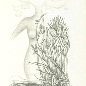 Zeichnungen mit dem Titel "Aufregung ..." von Sigrun Neumann (Sineu), Original-Kunstwerk, Andere