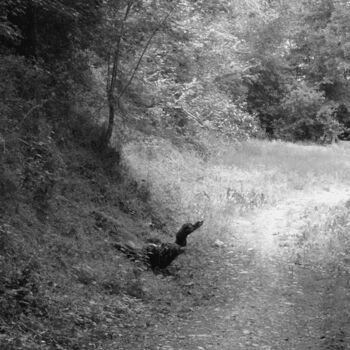 Φωτογραφία με τίτλο "PHOTO  UNUASUAL WAL…" από Flora I., Αυθεντικά έργα τέχνης