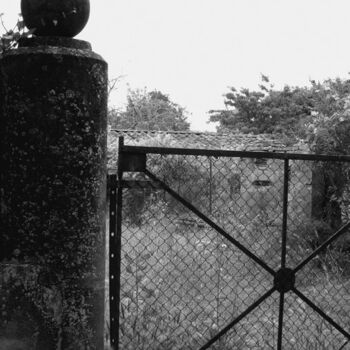 Fotografie getiteld "PHOTO : MYSTERY" door Flora I., Origineel Kunstwerk