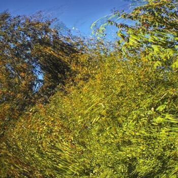 Digital Arts titled "Autumnation 16" by Ken Grzesik, Original Artwork, Digital Painting