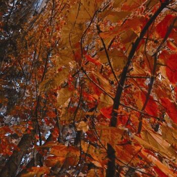 Digital Arts titled "Autumnation 23" by Ken Grzesik, Original Artwork, Digital Painting