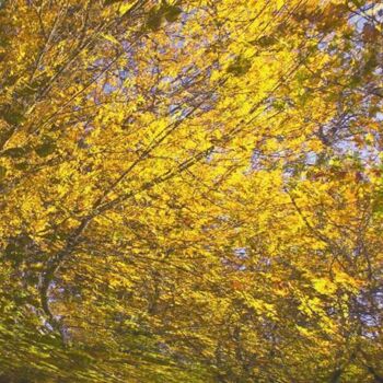 Digital Arts titled "Autumnation 29" by Ken Grzesik, Original Artwork, Digital Painting