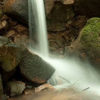 Fotografia intitulada "landscapes 1" por Maria Teresa Duarte, Obras de arte originais