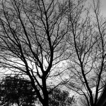 Fotografia intitulada "Landscapes 3" por Maria Teresa Duarte, Obras de arte originais