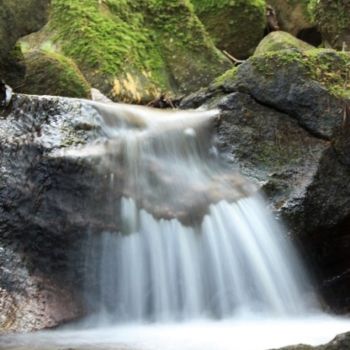 Fotografia intitulada "landscapes 4" por Maria Teresa Duarte, Obras de arte originais