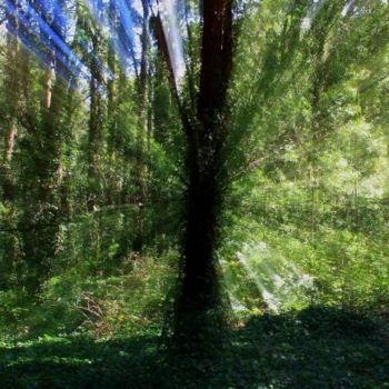 Fotografia intitulada "Landscapes 4" por Maria Teresa Duarte, Obras de arte originais