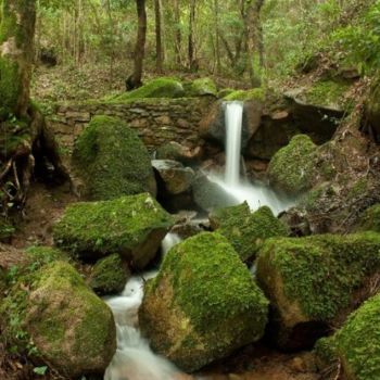 Fotografia intitulada "Landscapes 6" por Maria Teresa Duarte, Obras de arte originais