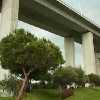 Fotografia intitulada "landscapes 5" por Maria Teresa Duarte, Obras de arte originais