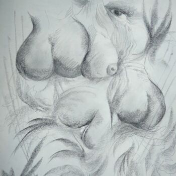 hpnose6