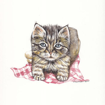 Painting titled "Petit chat" by Butterflymoon, Original Artwork