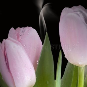 Fotografía titulada "Flores  de  amor" por Stella Khudyakova, Obra de arte original