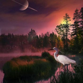 Fotografía titulada "Atardecer" por Stella Khudyakova, Obra de arte original