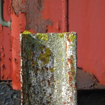 Photographie intitulée "T48" par Ly-Rose, Œuvre d'art originale