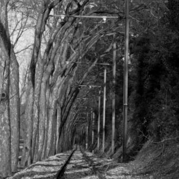 Fotografia intitulada ""Electrico de Sintr…" por Maria Teresa Duarte, Obras de arte originais