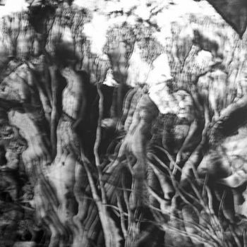 Painting titled "Tangled Wood" by Mike Healey, Original Artwork