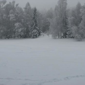 Fotografie mit dem Titel "blue forest, white…" von Cori  Schubert, Original-Kunstwerk