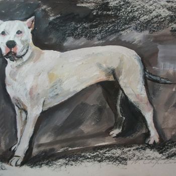 Peinture intitulée "Pitbull blanc" par Nathalia Chipilova, Œuvre d'art originale, Gouache
