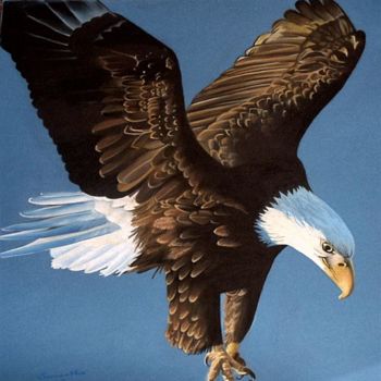 Painting titled "Bald Eagle" by Samantha Hayes, Original Artwork