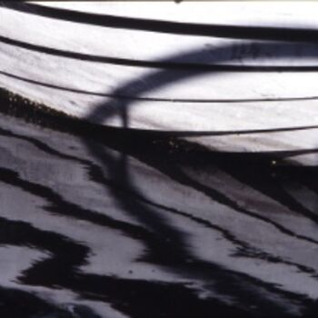Photography titled "Sans titre" by Jacques Jégo, Original Artwork