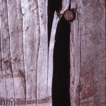 Photographie intitulée "écartèlement" par Jacques Jégo, Œuvre d'art originale